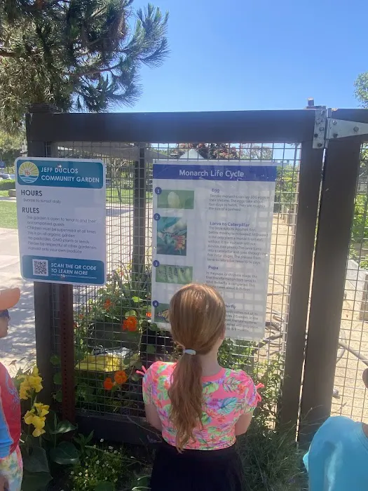 Beach Kids Yoga Picture 4