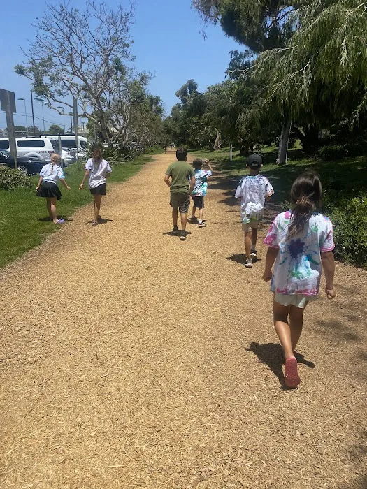 Beach Kids Yoga Picture 6