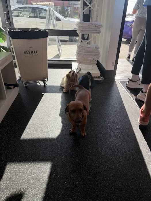 F45 Training Hermosa Beach Picture 10