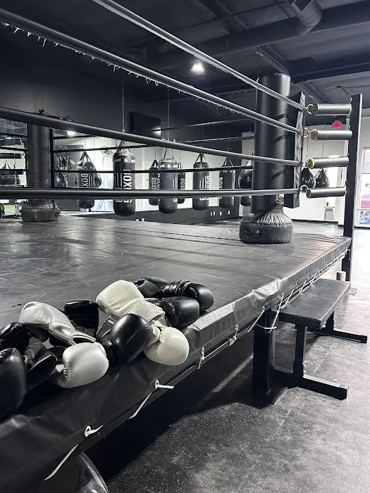 BOXEO SAUCE FACTORY Picture 4