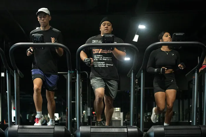 Boxing Lab Picture 4