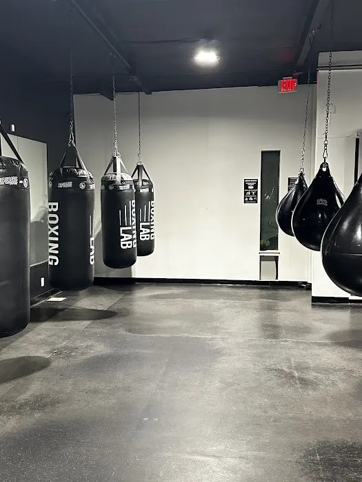 Boxing Lab Picture 7