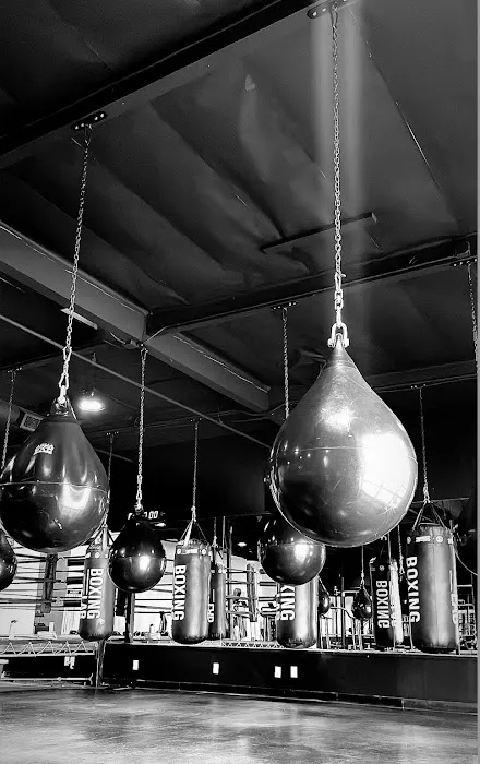 Boxing Lab Picture 3