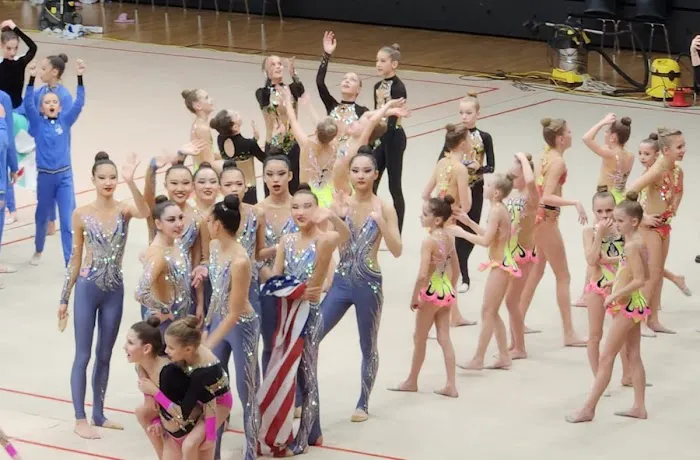 Eurogymnastics Rhythmic Academy Picture 5