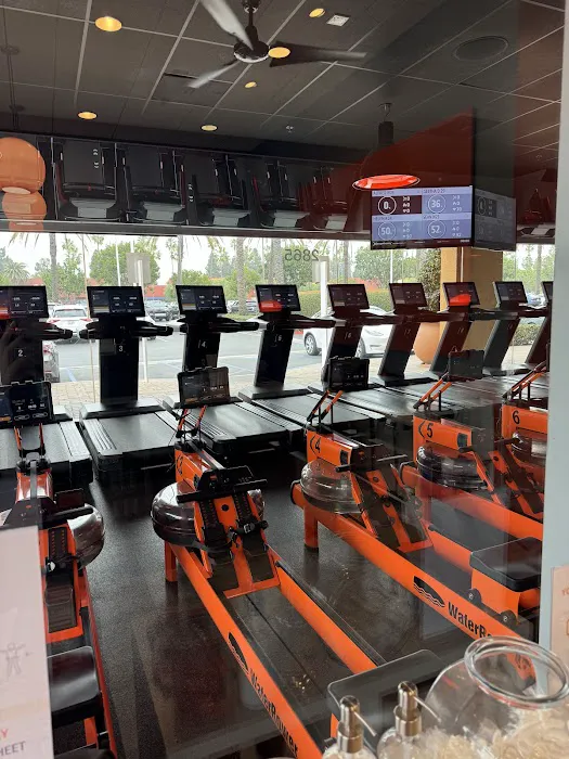 Orangetheory Fitness Picture 5