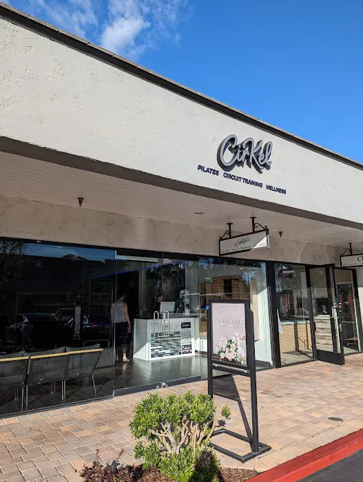 CirKel Fitness Picture 4