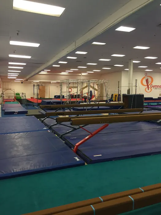 Gymnastics CPG Pasadena Picture 3
