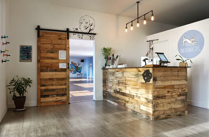 One Down Dog Picture 2