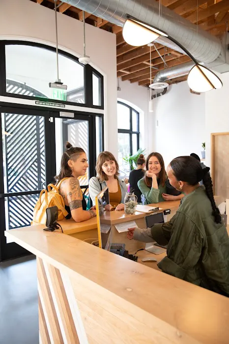 One Down Dog Picture 10