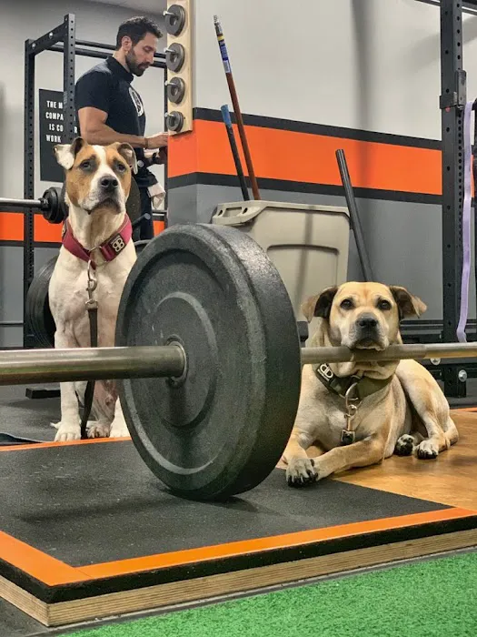 Game Time Strength GTS - Los Angeles Picture 5