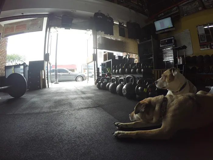 Game Time Strength GTS - El Segundo Picture 4