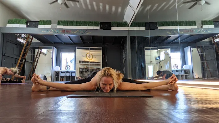 Veda Yoga - Venice Picture 6