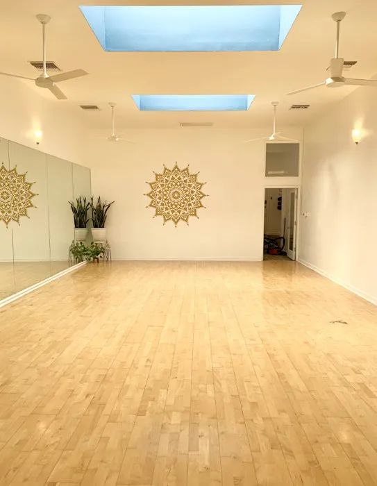 SoulPlay Yoga Picture 10