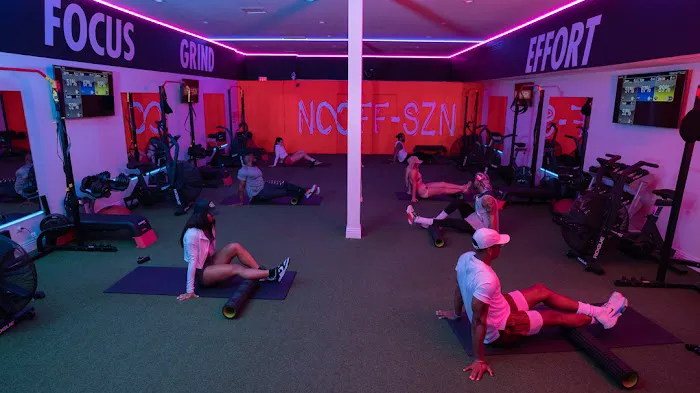 The Athletic Body Picture 3