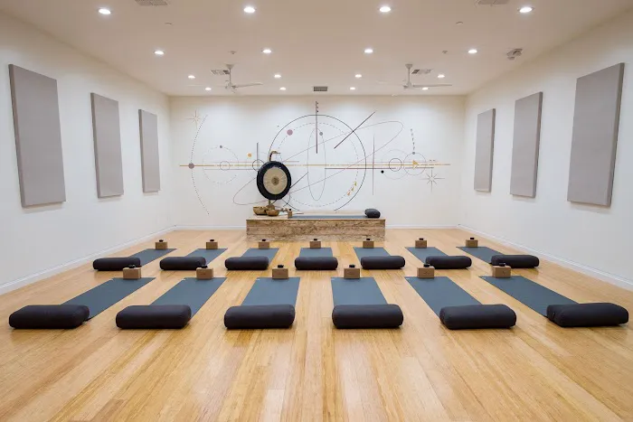 ASTRO GONG YOGA Picture 10
