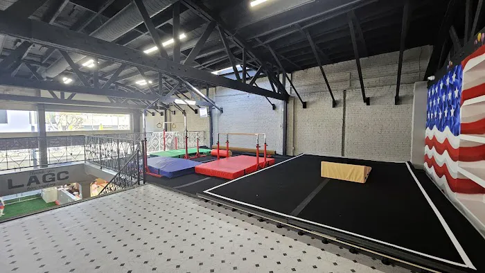 Los Angeles Gymnastics Center Picture 6