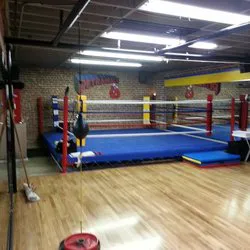 Petramale Boxing Picture 3