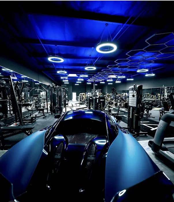 Live Alpha Picture 2