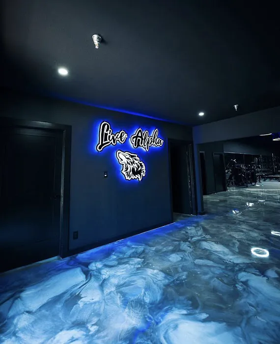 Live Alpha Picture 6