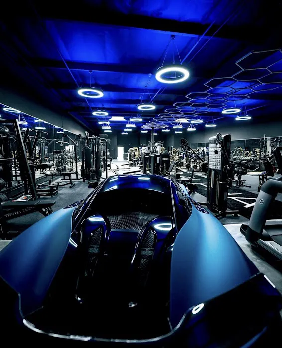 Live Alpha Picture 5