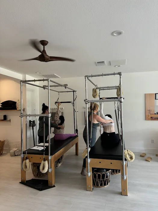 Precision Pilates Training Picture 4