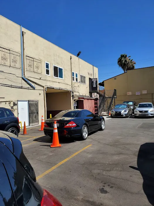 Wild Card Boxing Picture 10