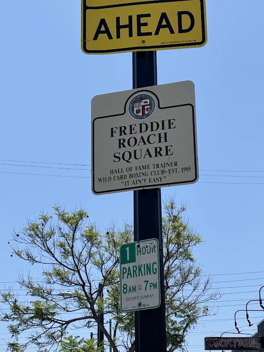 Wild Card Boxing Picture 8