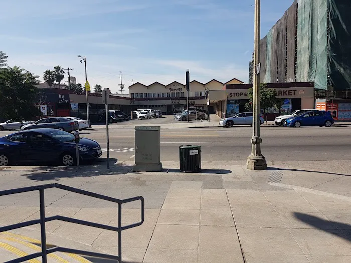 Wild Card Boxing Picture 3