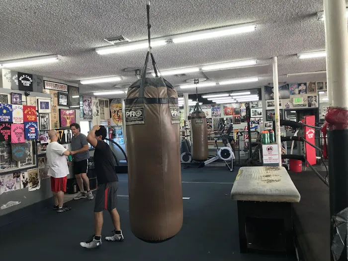 Wild Card Boxing Picture 6