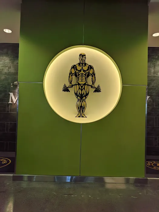 Gold's Gym Hollywood Picture 8