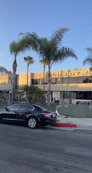 Gold's Gym Hollywood Picture 9