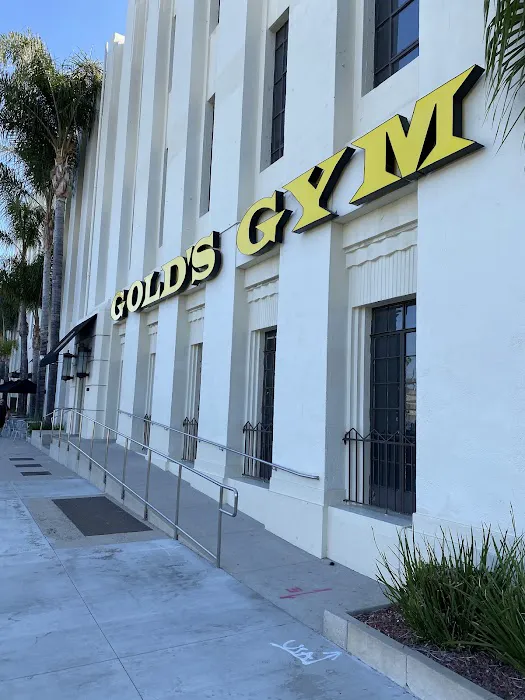 Gold's Gym Hollywood Picture 5