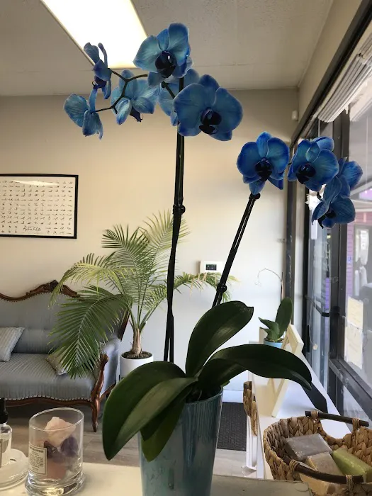 Pilates Art Center Picture 6