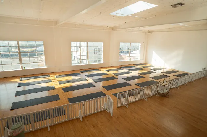 Puppy Sphere | Puppy Yoga (Los Angeles) Picture 7