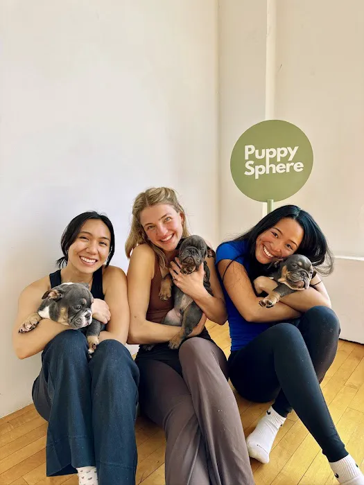 Puppy Sphere | Puppy Yoga (Los Angeles) Picture 2
