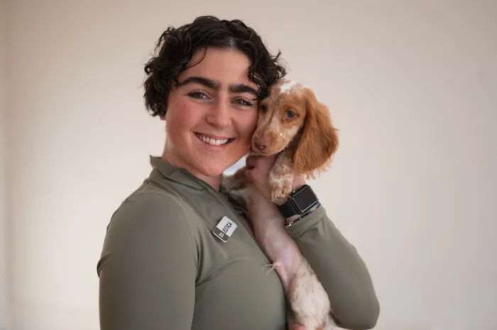 Puppy Sphere | Puppy Yoga (Los Angeles) Picture 10