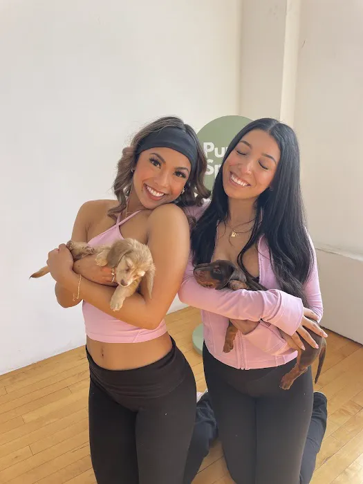 Puppy Sphere | Puppy Yoga (Los Angeles) Picture 3