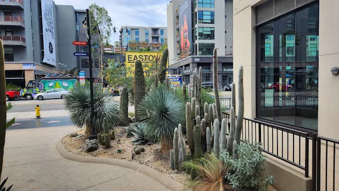 Barry's Hollywood Picture 2