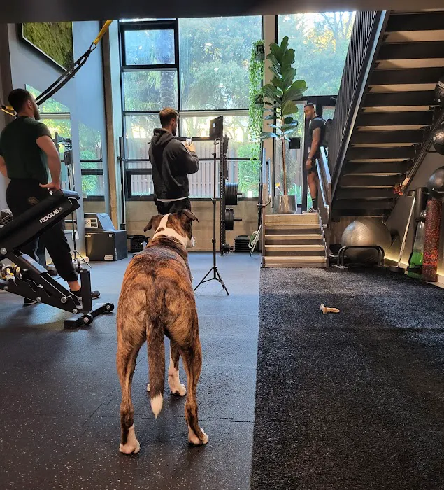 Atrium Training Facility Picture 10