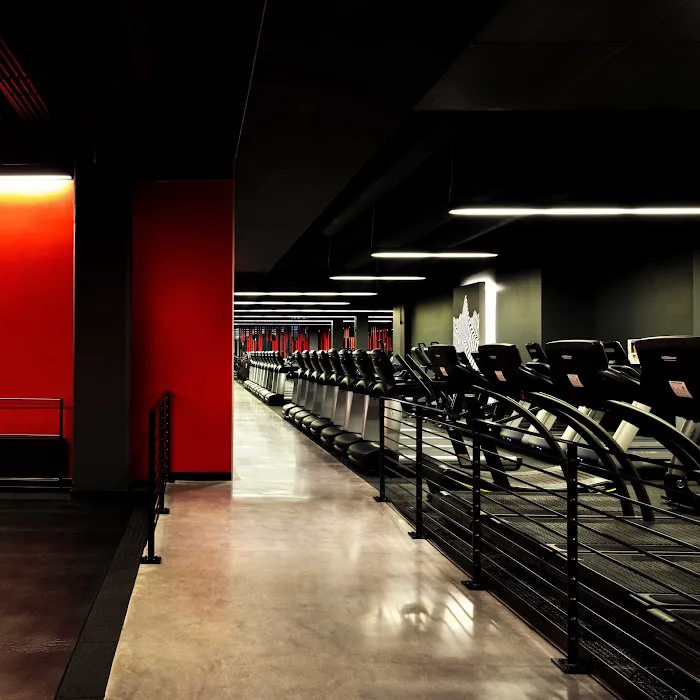 Equinox Hollywood Picture 6