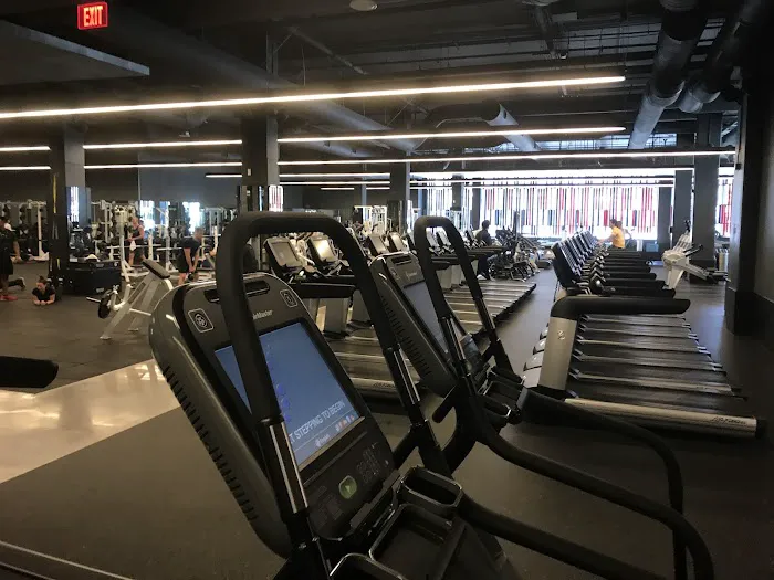 Equinox Hollywood Picture 4