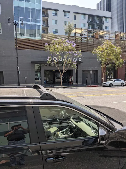 Equinox Hollywood Picture 5