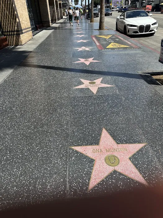 SPACE MVMT Picture 1