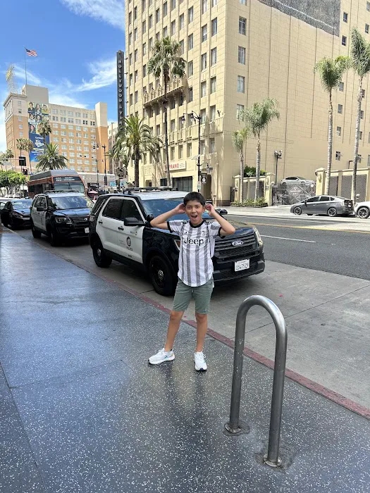 SPACE MVMT Picture 3