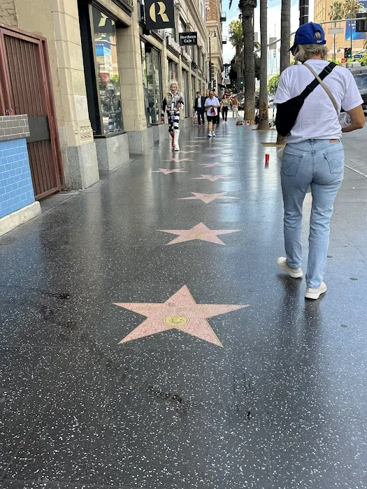 SPACE MVMT Picture 7