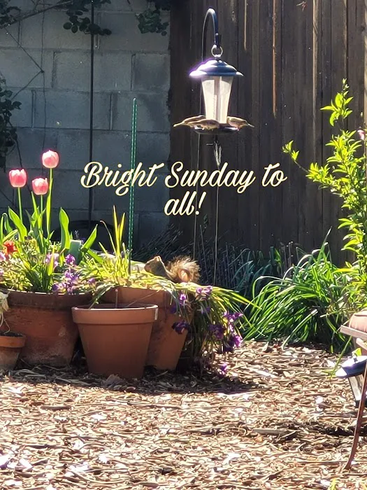 Indigo Yoga Picture 4