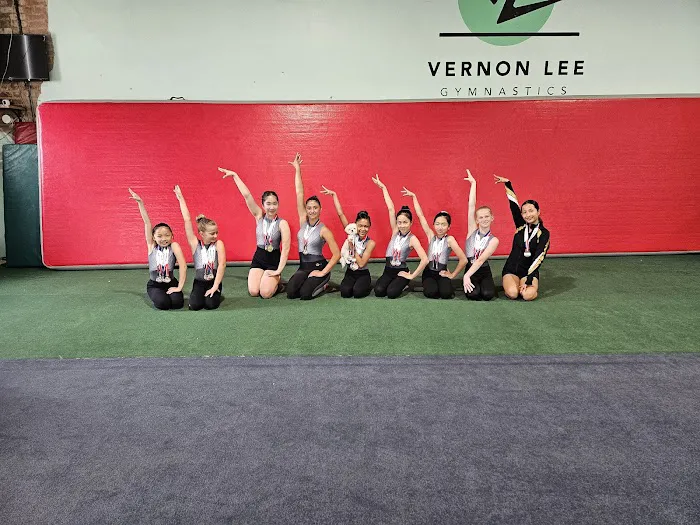 Vernon Lee Gymnastics Academy Picture 2