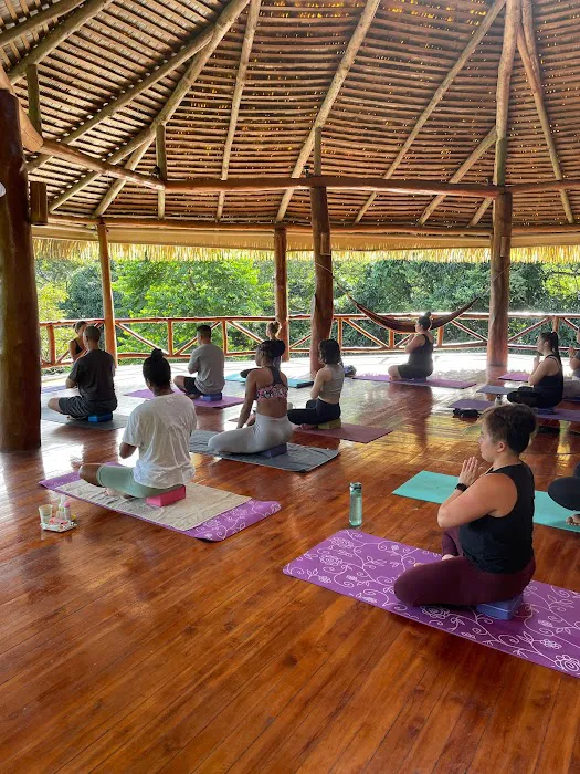 Malan's Yoga Garden Picture 4