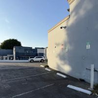 Pauly Solo Athletics ico