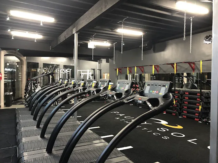 Pauly Solo Athletics Picture 7